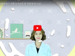 [스크랩] 벌레가 귀에 들어갔을 때는 어떻게 해야 될까요?