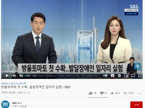 방울토마토 첫 수확…발달장애인 일자리 실험 / SBS