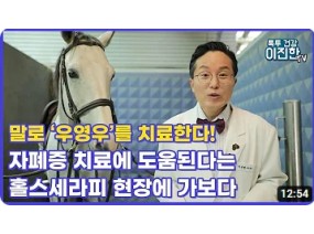 이상한 변호사 우영우의 자폐스펙트럼장애(자폐증) 말로 치료한다!