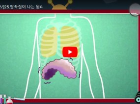 [스크랩] 교양정보 - 딸꾹질을 멈추려면 어떻게 해야 될까요?