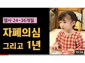 2. 자폐의심 그리고 1년의 기록 / 엘사 24~36개월 발달 정리 / 자폐 육아