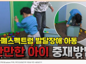 산만한 아이 중재방법/autism/자폐스펙트럼 발달장애 아동을 위한 뇌발달강의